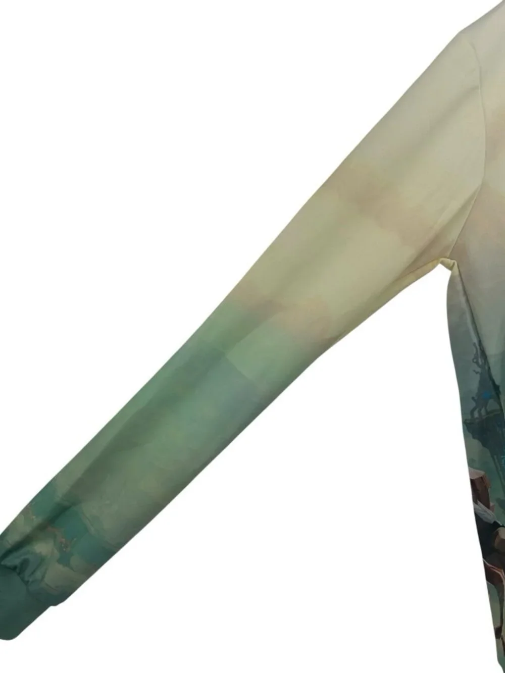 The Legend of‎ Zelda Hoodie Adult 3D Printed Link Breath of the Wild Size L